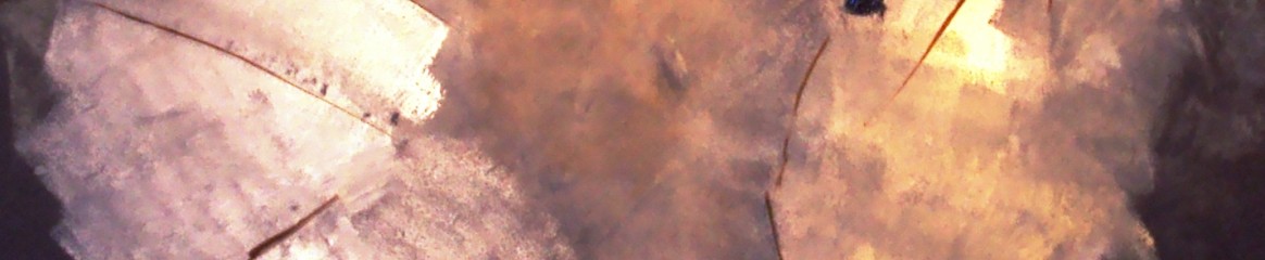 banner_6