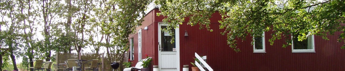 galleri_med_terrasse